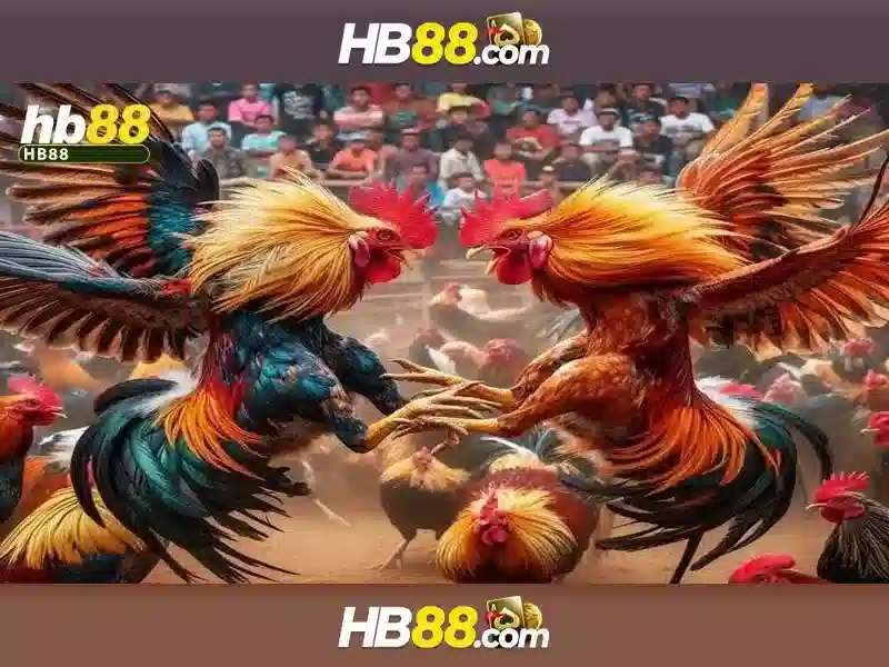 HB88 - Nền tảng cá cược trực tuyến phổ biến