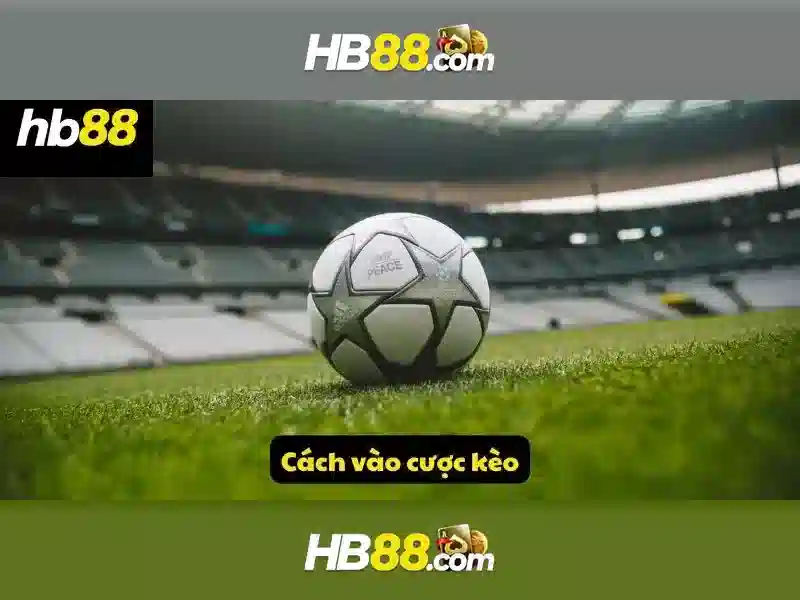 Hb88 - Nền tảng trò chơi trực tuyến và đánh giá