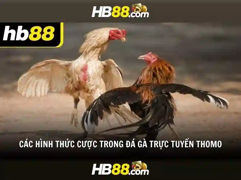Thông tin bảo mật và tuân thủ
