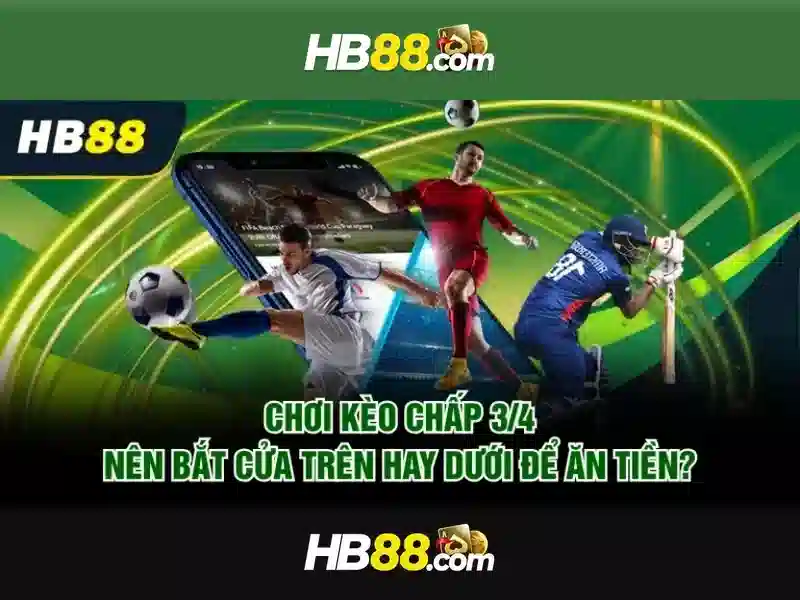HB88: Tổng quan về nền tảng cá cược và trải nghiệm người dùng
