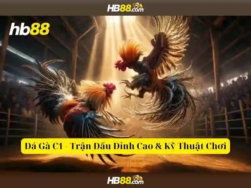 5 rạn san hô nổi tiếng nhất