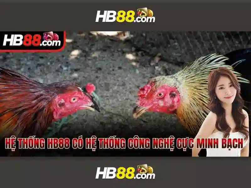 hb88: Đánh giá tổng quan về nền tảng cược trực tuyến