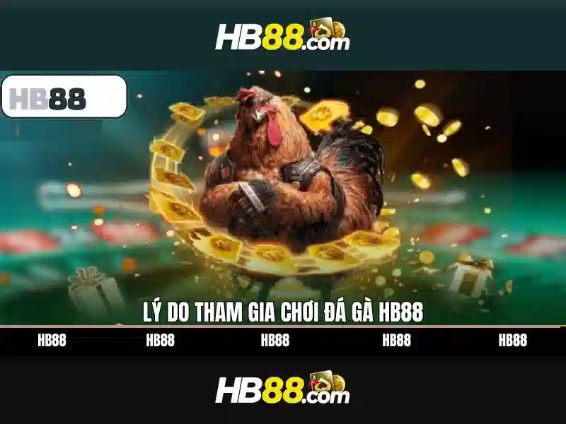 Trải nghiệm người dùng và phản hồi của cộng đồng