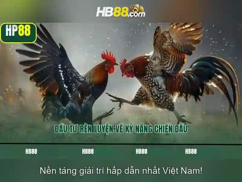 HB88 - Tổng quan về nền tảng đánh bạc trực tuyến