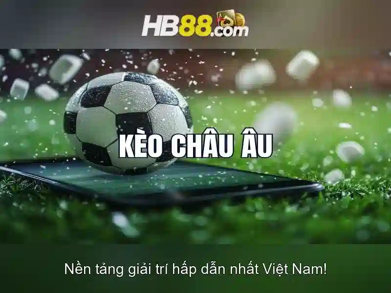 Trải nghiệm người dùng và phản hồi từ cộng đồng