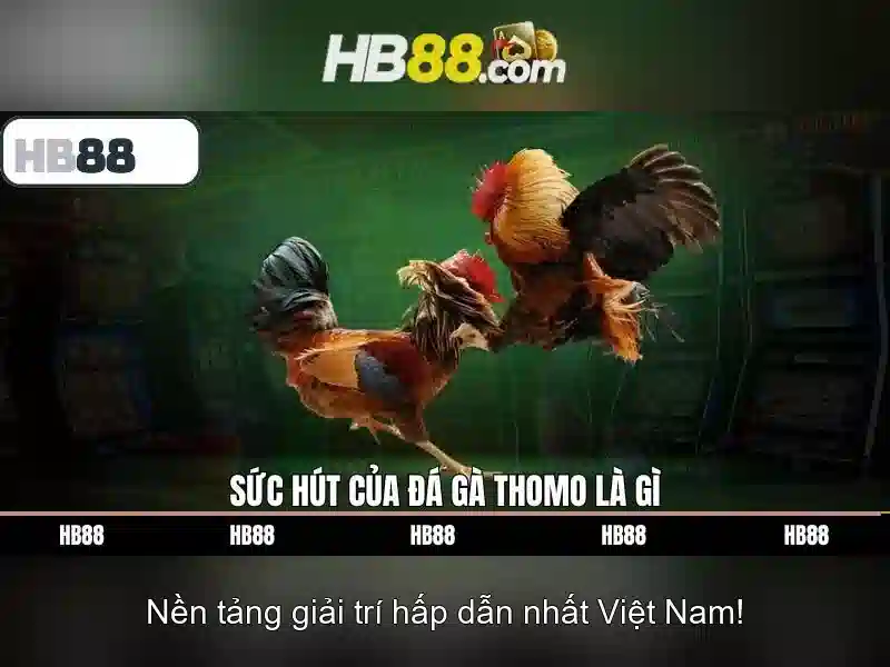 HB88 là nền tảng cá cược trực tuyến phổ biến