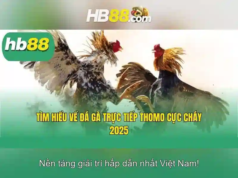 Các sản phẩm và dịch vụ của hb88