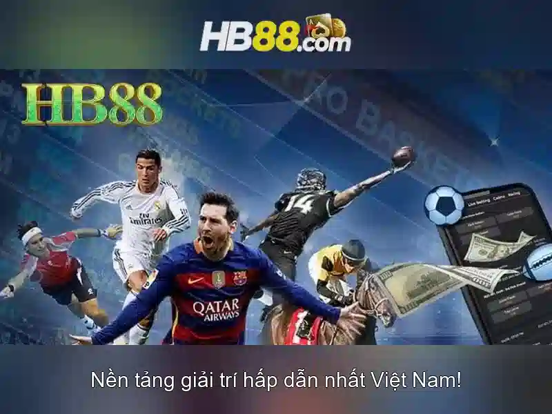 An toàn và trách nhiệm khi tham gia