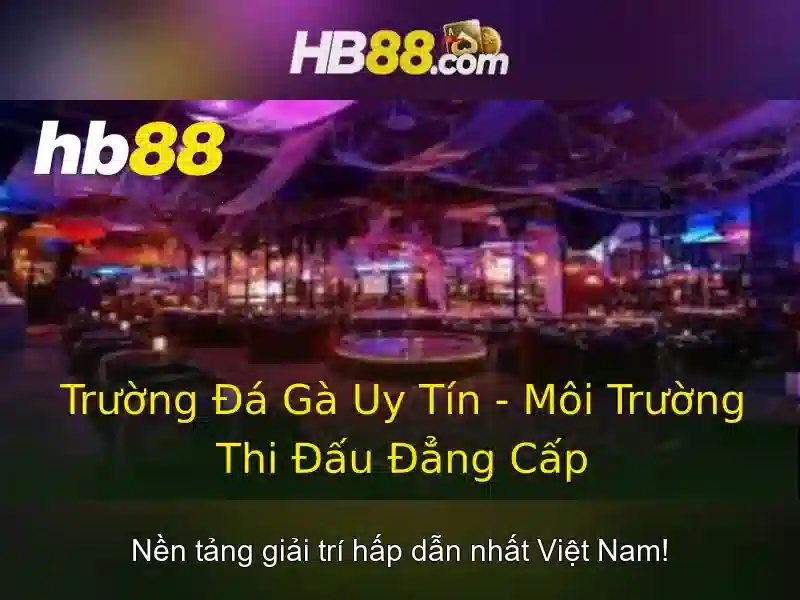 HB88: Tổng quan về nền tảng cược trực tuyến an toàn và tin cậy