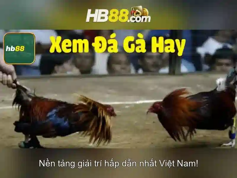 HB88: Tổng quan về nha cai truc tuyen tại Việt Nam