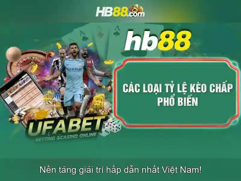 Giáo dục đại học