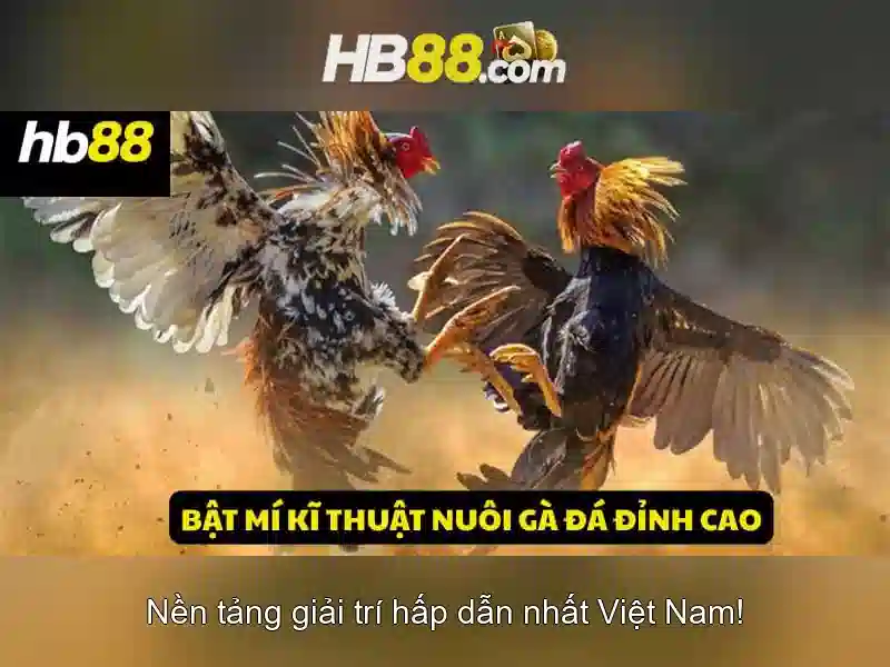 Tổng quan về Hb88
