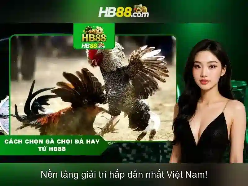 hb88: Tổng quan, trò chơi và khuyến mãi