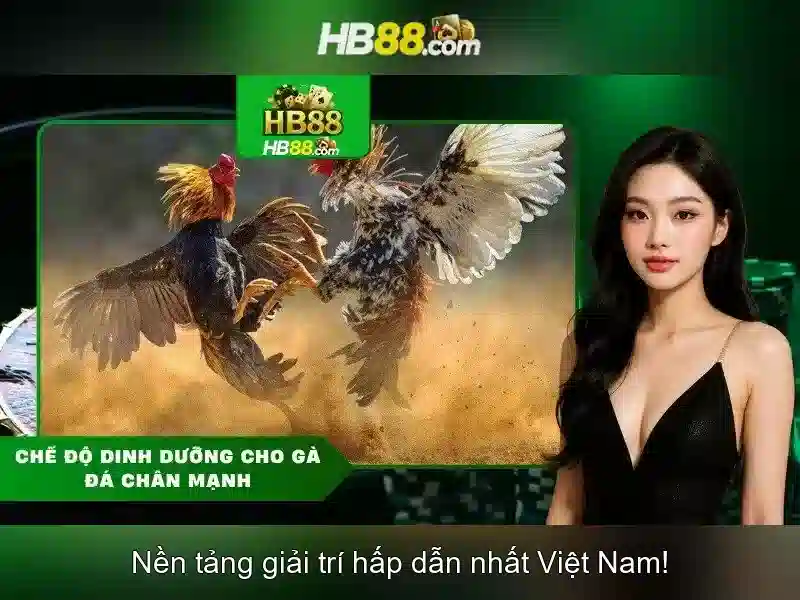 hb88 là gì và tại sao nền tảng này thu hút người chơi cá cược