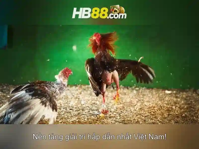 An toàn, quy định và chơi có trách nhiệm