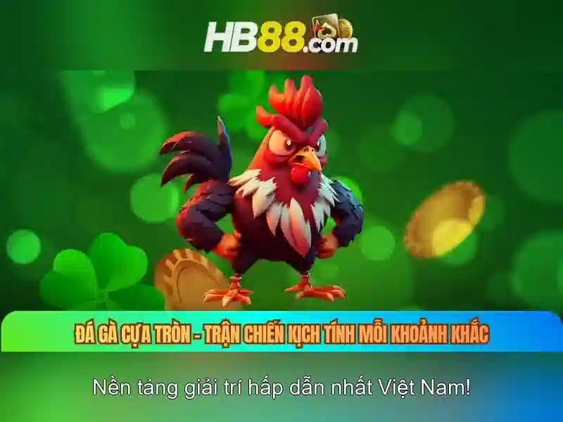 HB88: Tổng quan và đánh giá nền tảng cá cược trực tuyến
