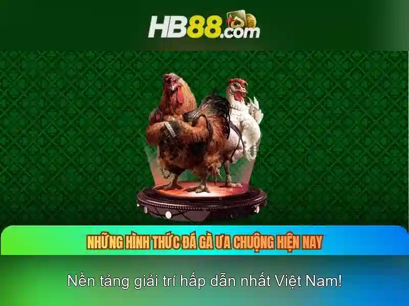 Hb88: Nền tảng trò chơi trực tuyến và những nét nổi bật